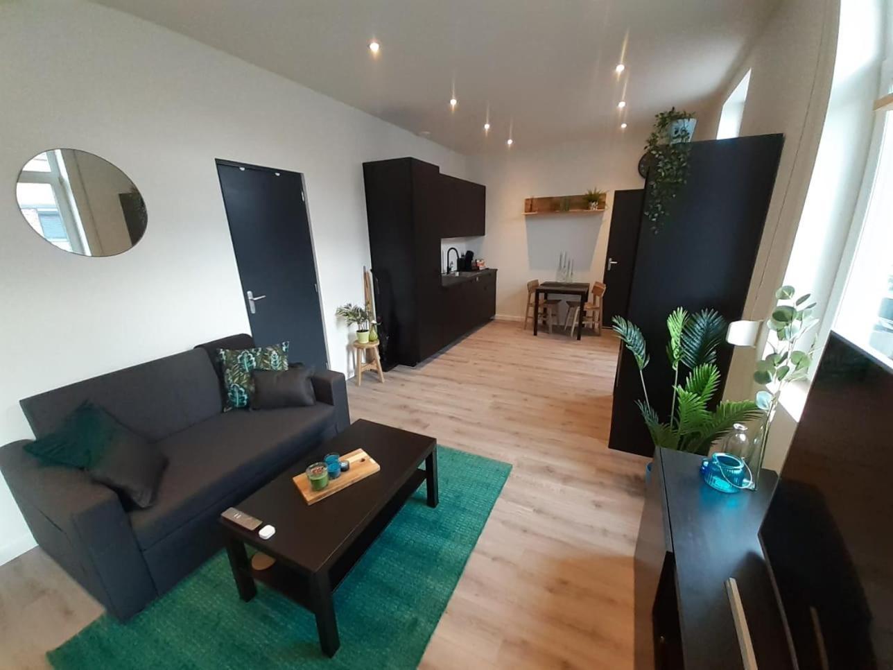 Deluxe Apartment *